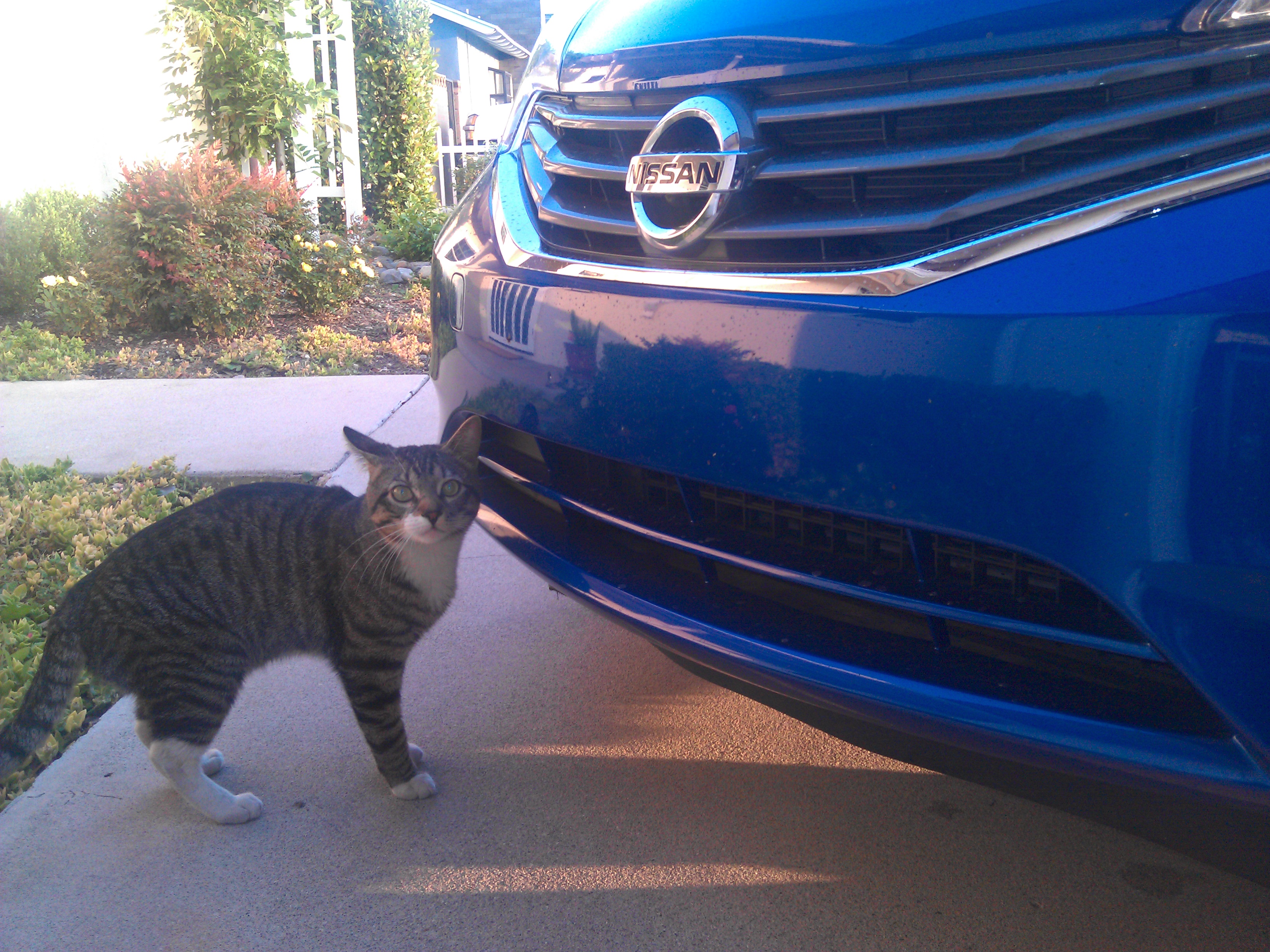 nissan_versa_note_blue_001